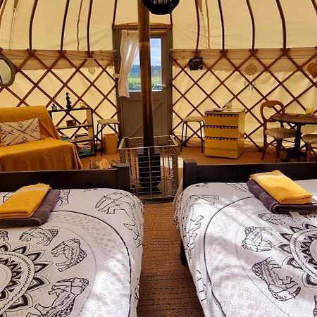 Отель Bronfelen Yurt Cynghordy Экстерьер фото
