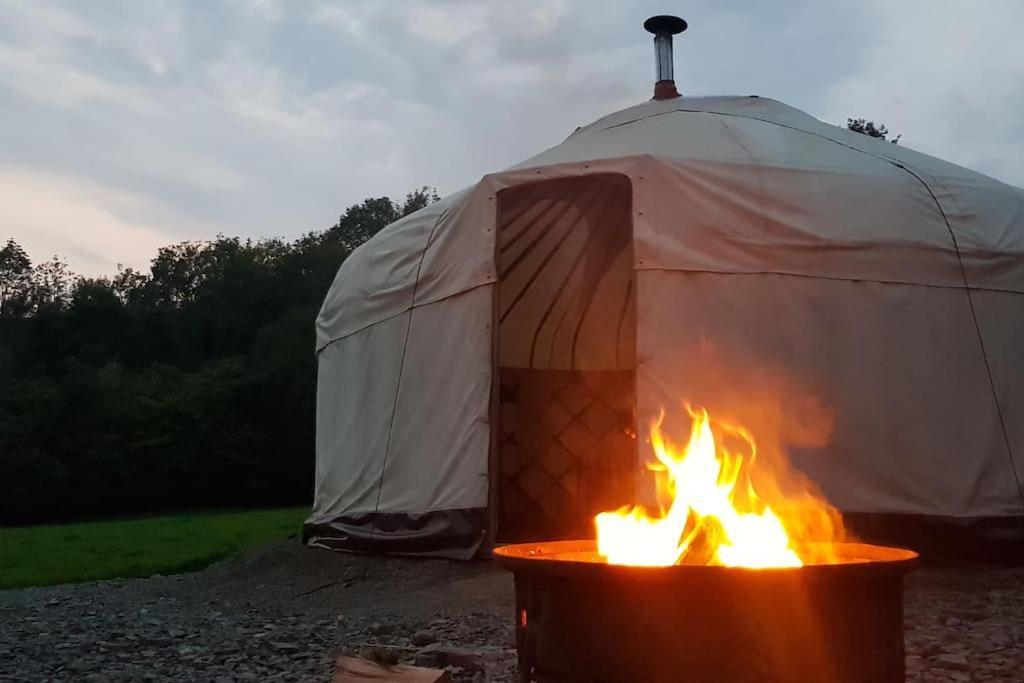 Отель Bronfelen Yurt Cynghordy Экстерьер фото