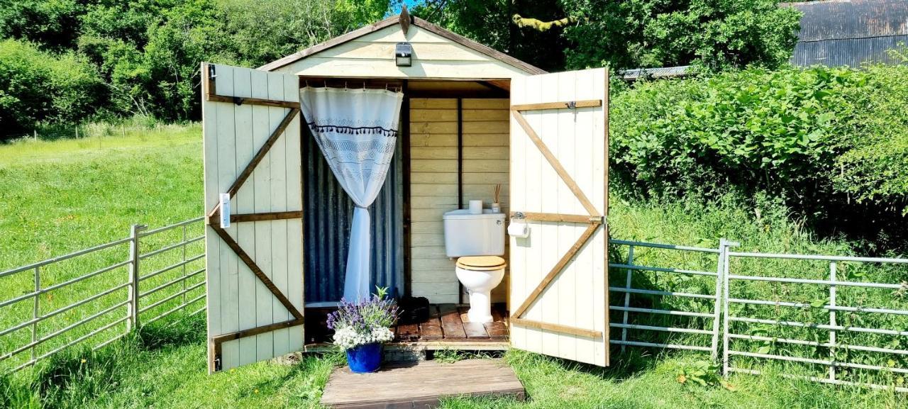 Отель Bronfelen Yurt Cynghordy Экстерьер фото